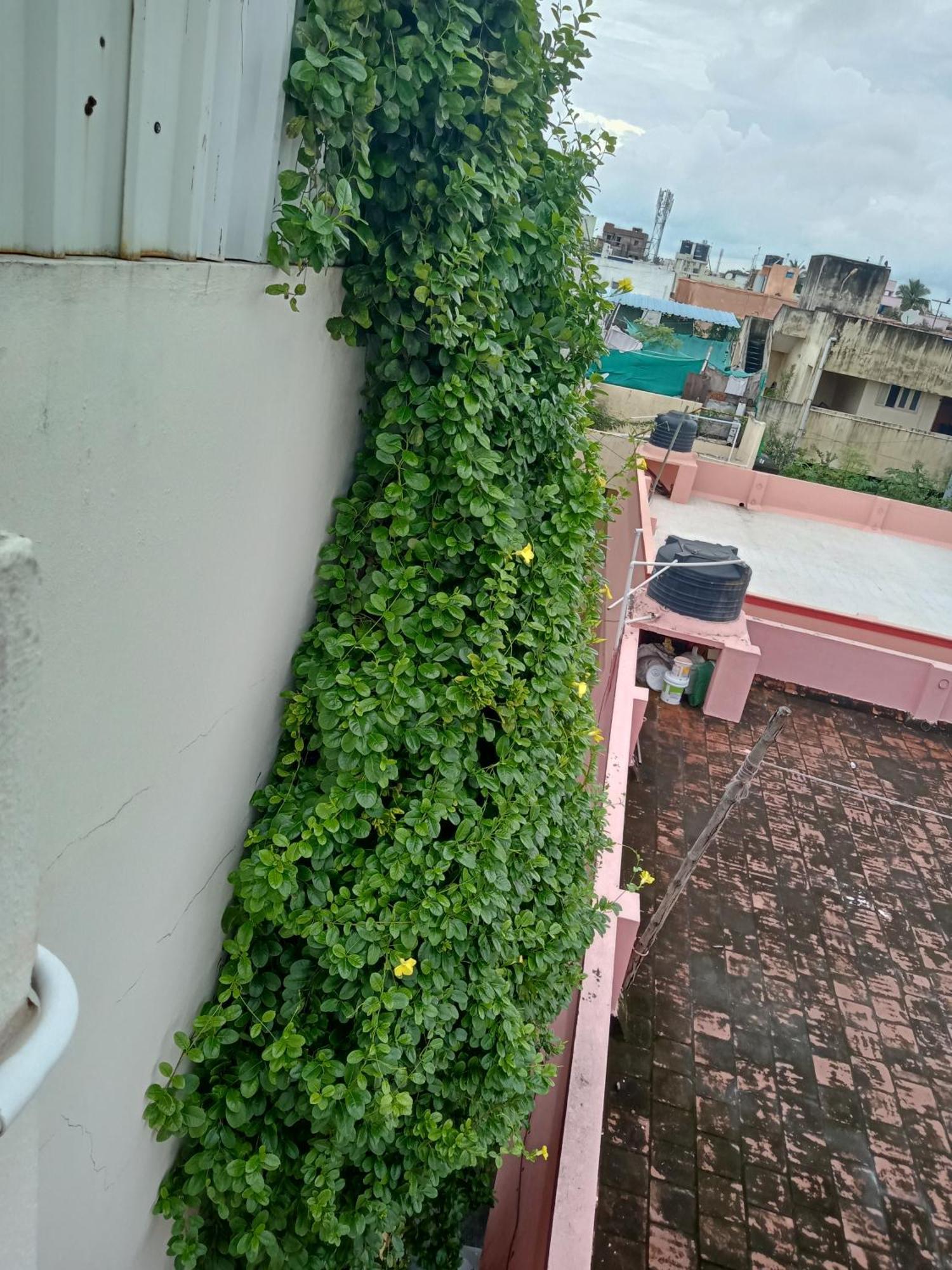 Allamanda Abode Aparthotel Chennai Exterior photo